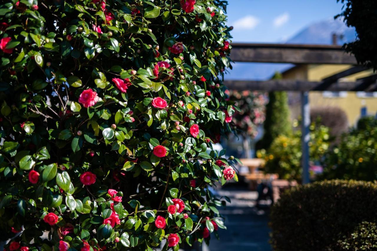 Ascona Lodge, Pool & Garden Retreat ภายนอก รูปภาพ